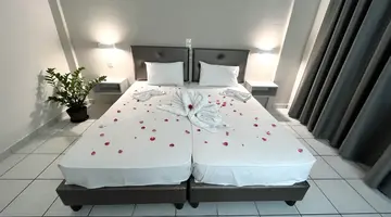 Daisy Hotel