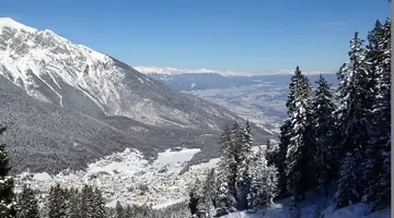 Dal Bon