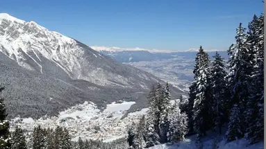 Dal Bon