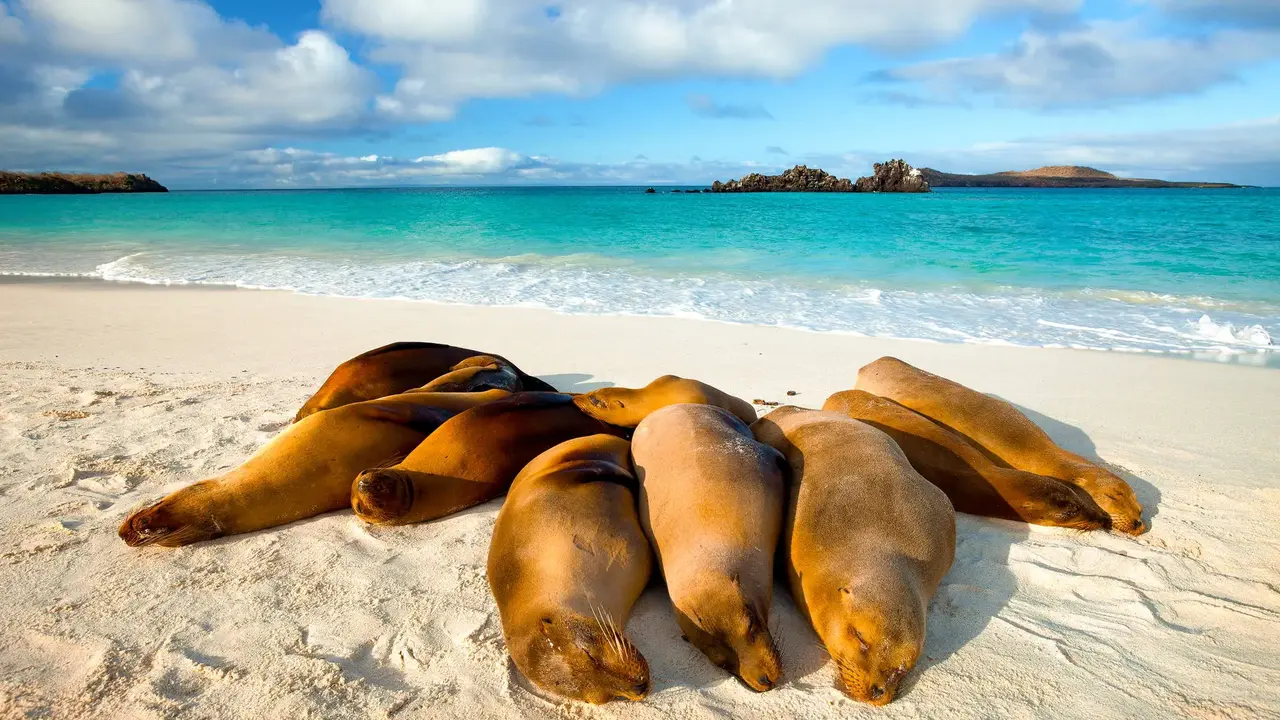 Dalej być nie może – Galapagos i Wyspa Wielkanocna