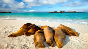 Dalej być nie może – Galapagos i Wyspa Wielkanocna