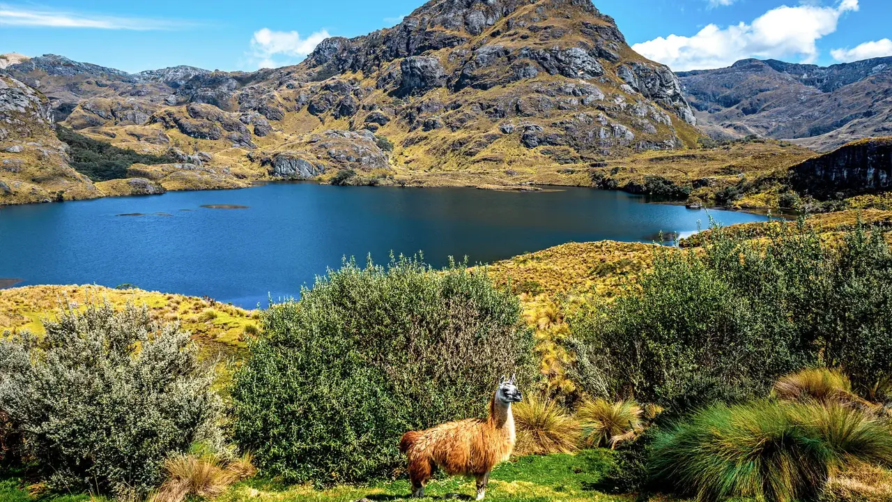 Dalej być nie może – Galapagos i Wyspa Wielkanocna
