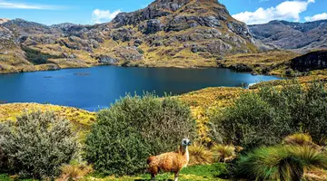 Dalej być nie może – Galapagos i Wyspa Wielkanocna