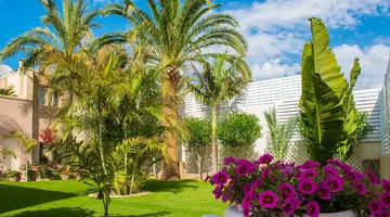 DANAIDES APARTMENTS