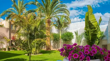 DANAIDES HOTEL MALIA