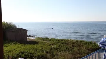 Danaos Beach Apartments