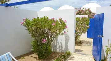 Dar Jerba Zahra