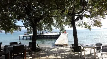 Dassia Beach