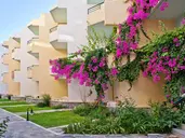 DEDALOS BEACH HOTEL-SKALETA