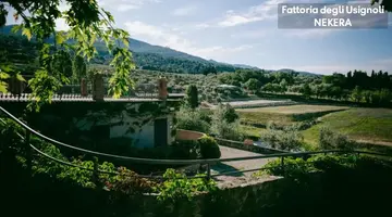 DEGLI USIGNOLI FATTORIA HOTEL