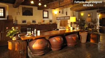 DEGLI USIGNOLI FATTORIA RESIDENCE