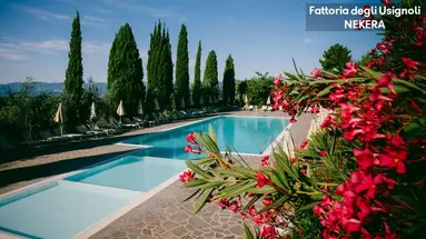 DEGLI USIGNOLI FATTORIA RESIDENCE