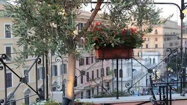Dei Consoli Roma