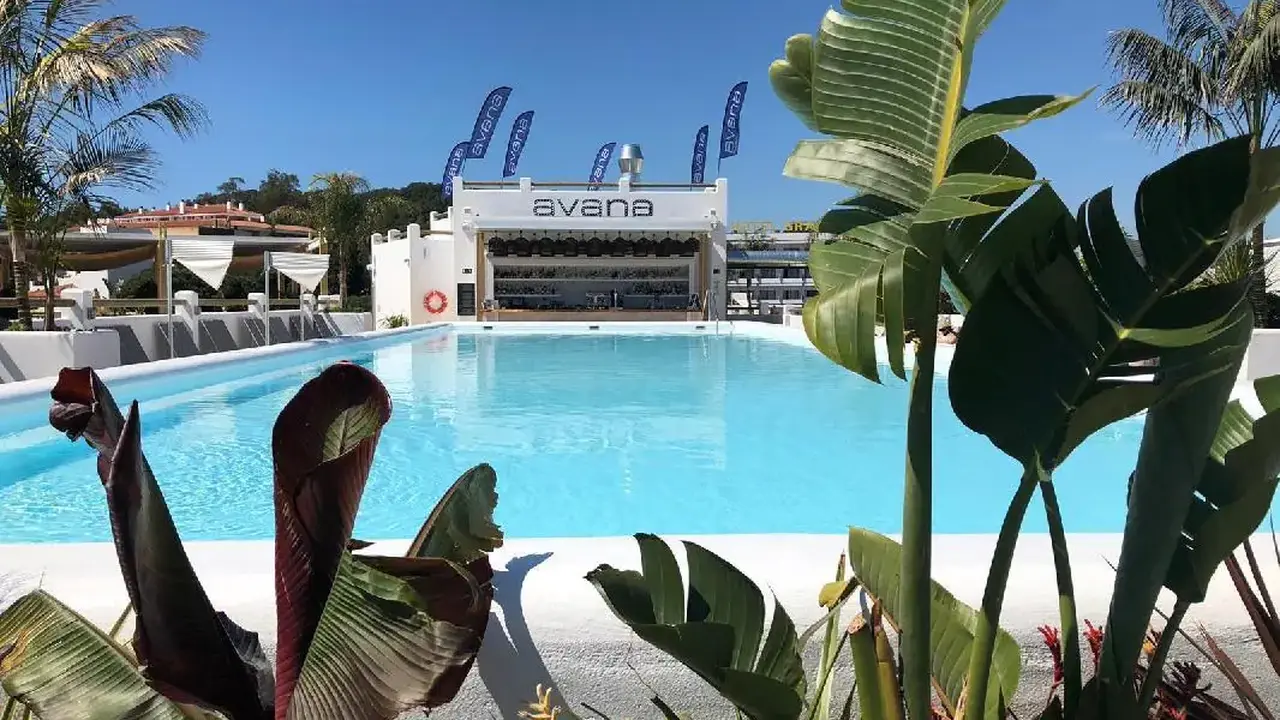 Delamar Adults Only