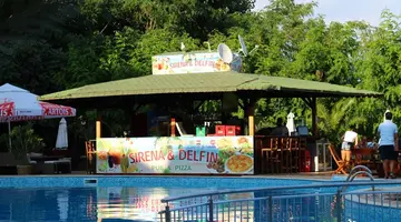 Delfin