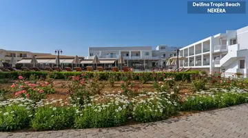 Delfina Tropic Beach
