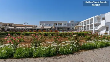 Delfina Tropic Beach