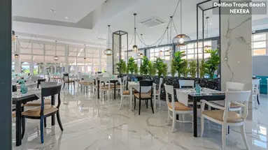 Delfina Tropic Beach