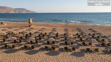 Delfina Tropic Beach