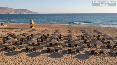 Delfina Tropic Beach