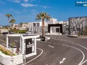 Delfina Tropic Beach