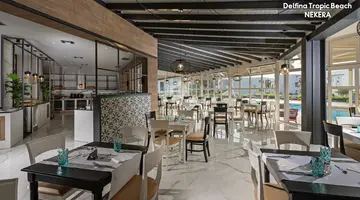 Delfina Tropic Beach