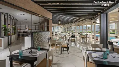 Delfina Tropic Beach