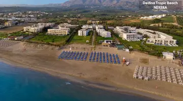 Delfina Tropic Beach