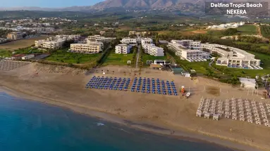 Delfina Tropic Beach