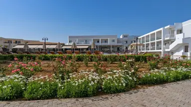 Delfina Tropic beach