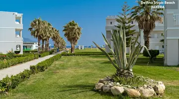 Delfina Tropic Beach
