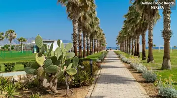 Delfina Tropic Beach