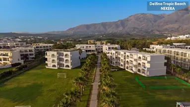 Delfina Tropic Beach