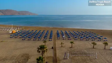 Delfina Tropic Beach
