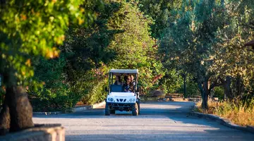 Delfinia Beach & Bungalows