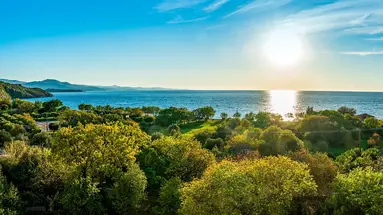Delfinia Beach & Bungalows