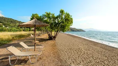 Delfinia Beach & Bungalows