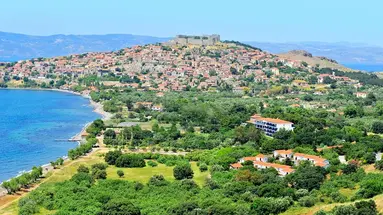 Delfinia Beach & Bungalows