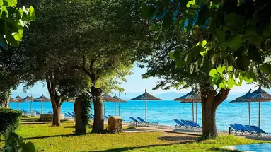 DELFINIA HOTEL