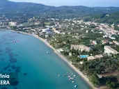 Delfinia