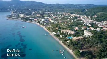 Delfinia