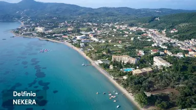 Delfinia