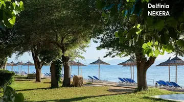 Delfinia