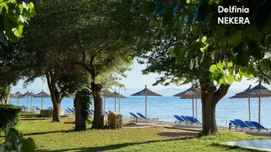 Delfinia