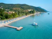 Delfinia