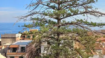 DELLE PALME HOTEL - LETOJANNI