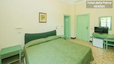 DELLE PALME HOTEL