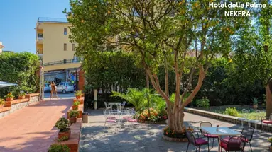 DELLE PALME HOTEL