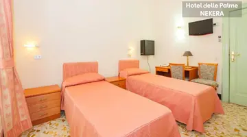 DELLE PALME HOTEL
