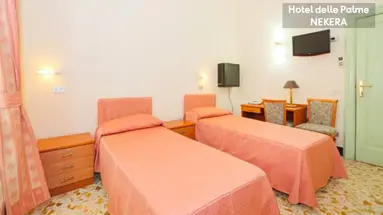 DELLE PALME HOTEL